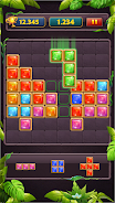 Block Puzzle Jewel Classic Zrzut ekranu 0