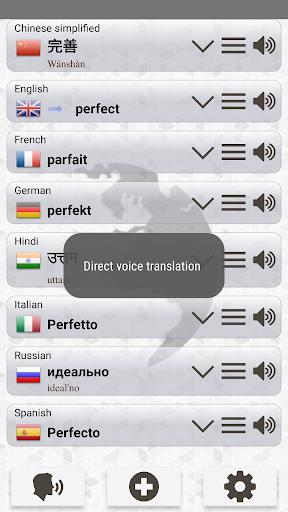 Q Multi Language Translator Capture d'écran 3