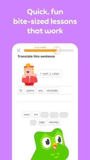 Duolingo Ekran Görüntüsü 1