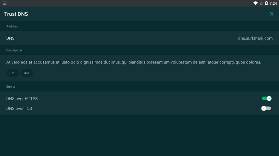 Trust DNS Captura de pantalla 3