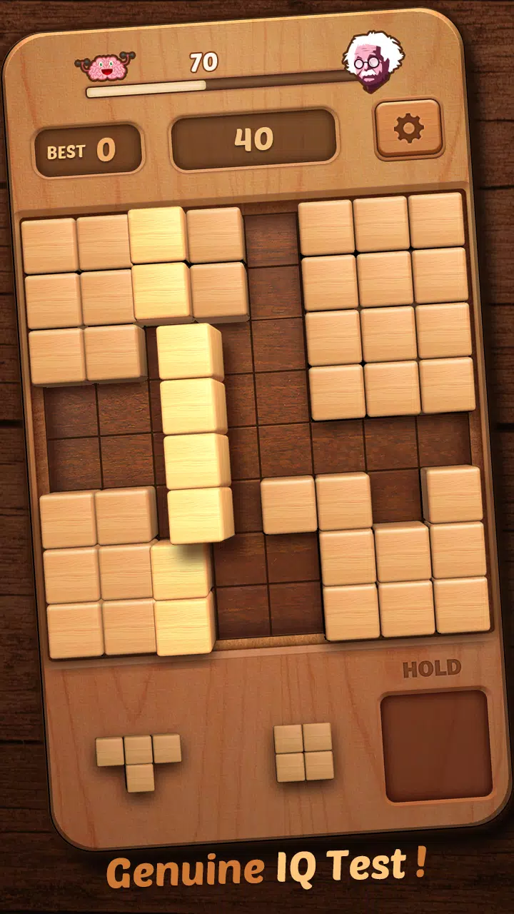 Wood Block Puzzle 3D Captura de pantalla 3