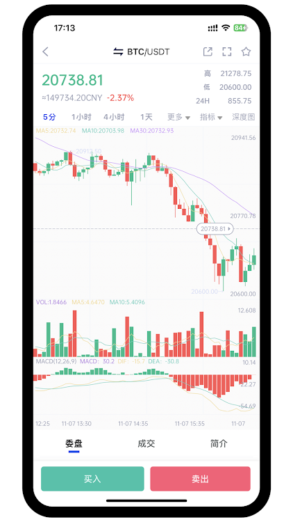 Schermata BiFinance 2