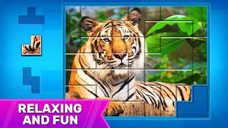 Puzzles: Jigsaw Puzzle Games Ảnh chụp màn hình 0