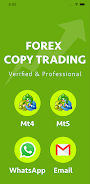 Forex copy trading Forex Auto Tangkapan skrin 0