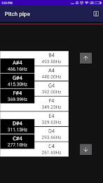 CarlTune - Chromatic Tuner Zrzut ekranu 2