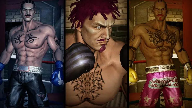 Punch Boxing 3D应用截图第2张