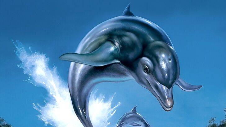 Ecco The Dolphin商标Sparks复出谣言