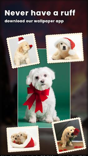 Puppy Love: Cute Dog Wallpaper ဖန်သားပြင်ဓာတ်ပုံ 1