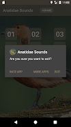 Anatidae Sound ภาพหน้าจอ 2