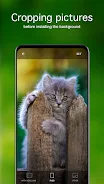 Kitten Wallpapers 4K ဖန်သားပြင်ဓာတ်ပုံ 3