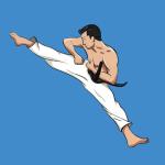 Taekwondo : Artes Marciais