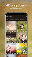 Dog Wallpapers & Puppy 4K ภาพหน้าจอ 1