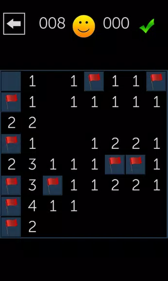 Minesweeper Fun Captura de pantalla 0