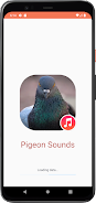 Pigeon Sounds Capture d'écran 0