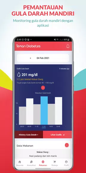 Teman Diabetes Ekran Görüntüsü 3