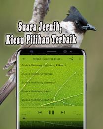 Suara Burung Kutilang Offline Ảnh chụp màn hình 3