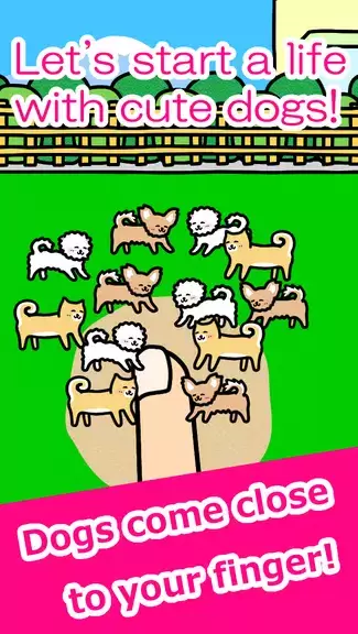 Play with Dogs - relaxing game 스크린샷 0