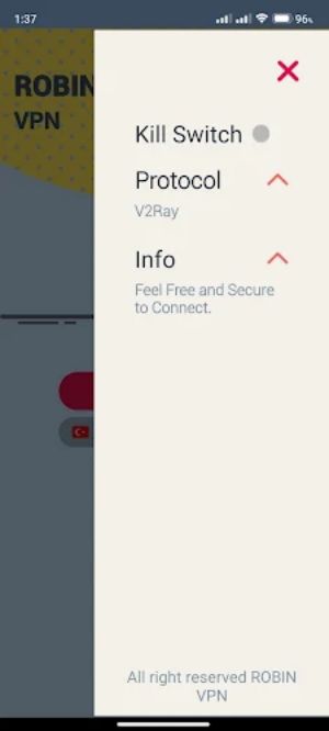 Robin VPN Ekran Görüntüsü 2