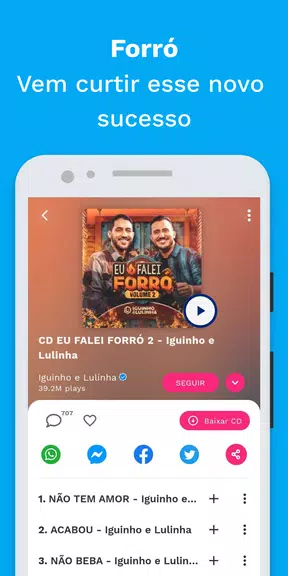 Sua Música: Hits do Nordeste Скриншот 1