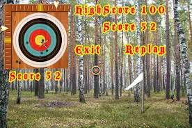 Crossbow Shooting Ảnh chụp màn hình 3