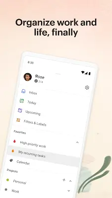 Schermata Todoist: To-do List & Planner 0