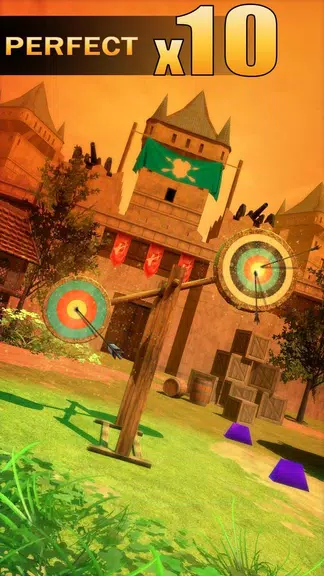 Archery Shooting Captura de pantalla 0