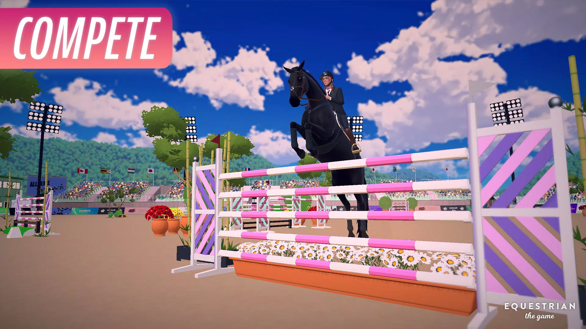 Equestrian Captura de pantalla 3