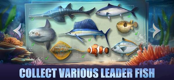 Top Fish: Ocean Game Zrzut ekranu 2