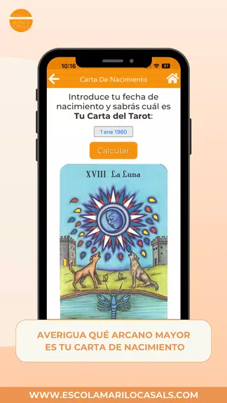 Curso Tarot Esc. Mariló Casals Ảnh chụp màn hình 1