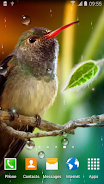 Hummingbirds Live Wallpaper Captura de tela 0