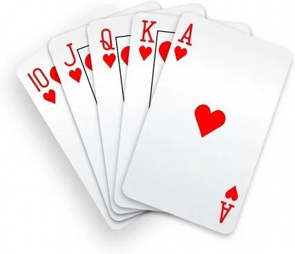 Schermata Twenty nine 29 Merriage Card Game 0