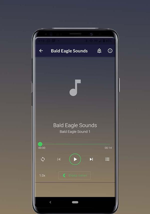 Bald Eagle Sounds 스크린샷 1