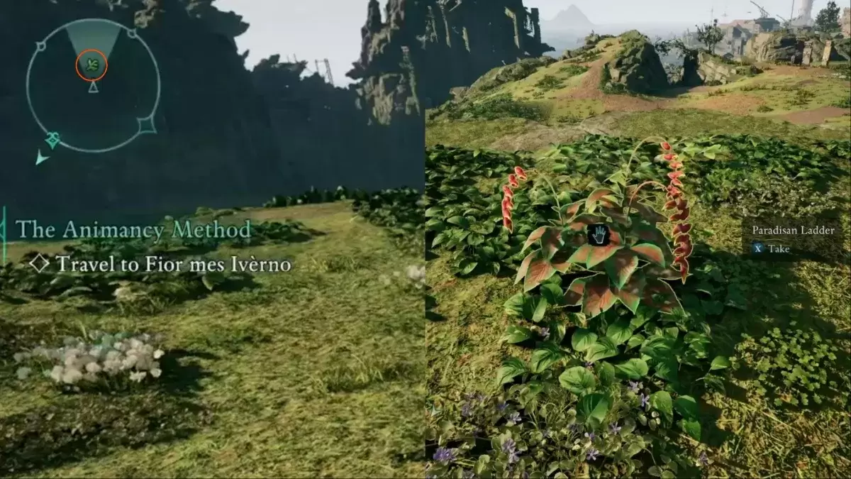 Gameplay avoué de trouver et d'obtenir une échelle paradisane en la trouvant dans la nature tout en explorant, son emplacement marqué sur une mini-carte