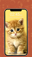 Kitty Cat Pin Lock Screen Ảnh chụp màn hình 0