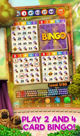 Bingo Pets Party: Dog Days Tangkapan skrin 0