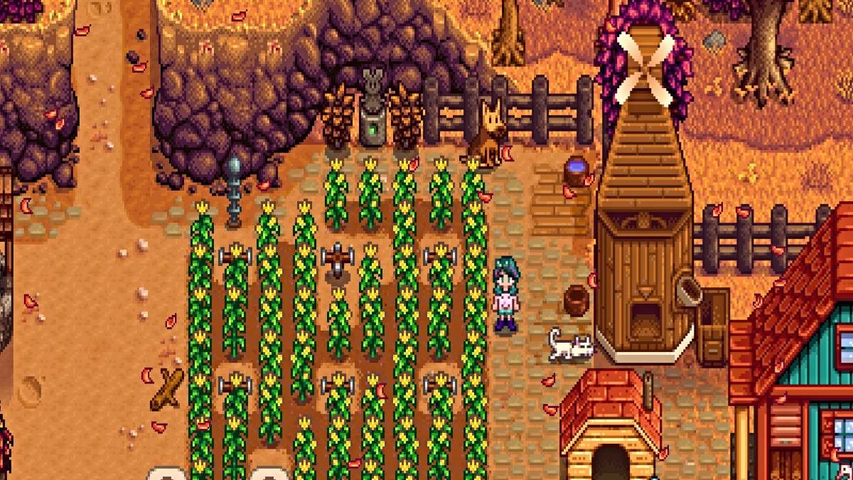 如何在Stardew Valley中獲取多個寵物