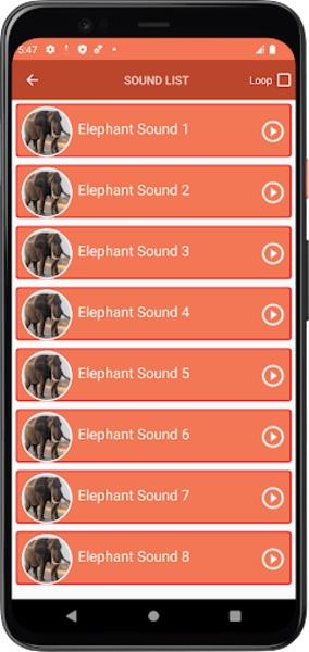 Elephant Sounds應用截圖第0張