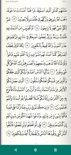 Leer Escuchar Quran قرآن كريم Captura de pantalla 1