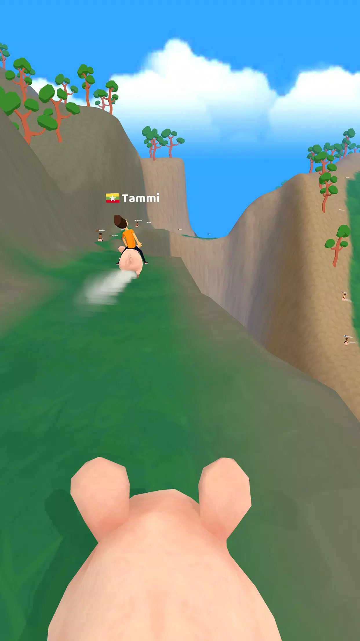 Pig Riders Screenshot 3