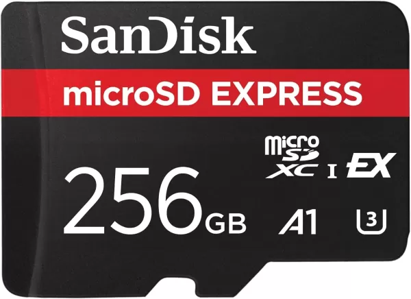 Sandisk MicroSD exprimieren 256 GB