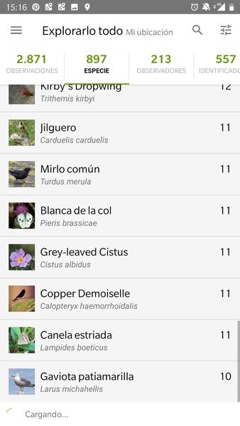 iNaturalist ဖန်သားပြင်ဓာတ်ပုံ 0