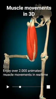 Anatomy Learning - 3D Anatomy ภาพหน้าจอ 1