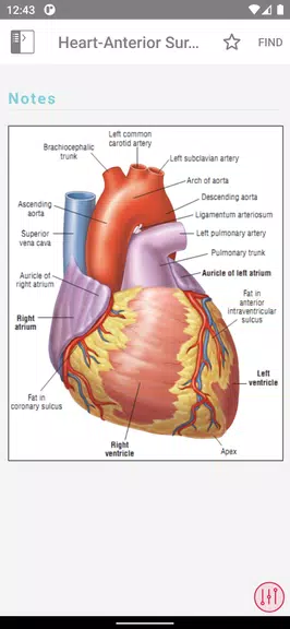 ECG Notes: Quick look-up ref.應用截圖第2張