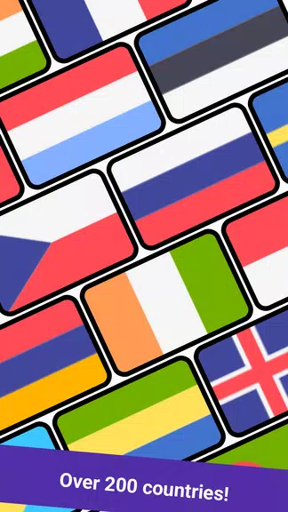 Schermata Geomi — Flags & Countries 1