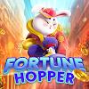 Fortune Hopper