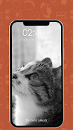 Kitty Cat Pin Lock Screen Captura de pantalla 3