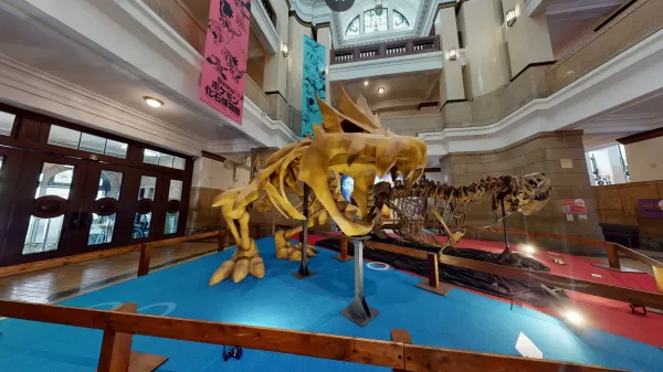 Pokémon Fossil Museum to Display Real and Fake Fossils in U.S. Next Year