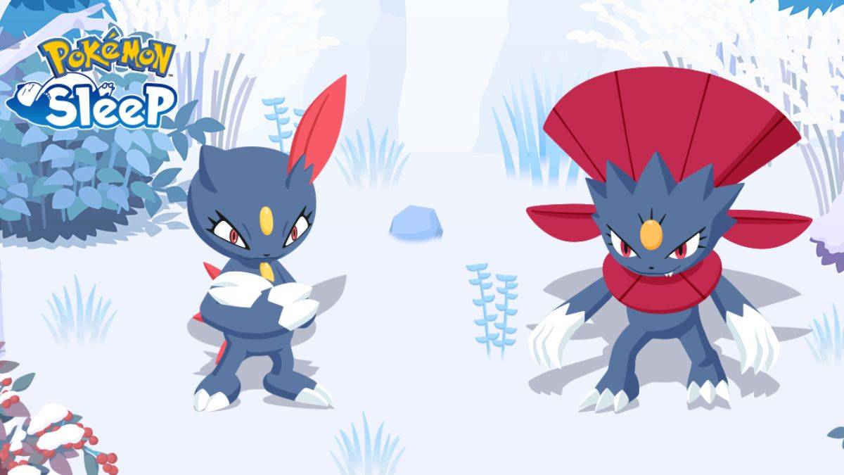 Kung paano makakuha ng sneasel at weavile sa Pokémon Sleep