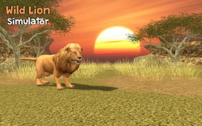 Wild Lion Simulator 3D應用截圖第0張