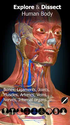 Anatomy Learning - 3D Anatomy স্ক্রিনশট 0